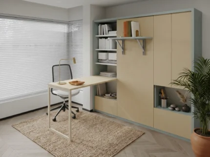 Single Wall bed with study desk and storage with premium finishes